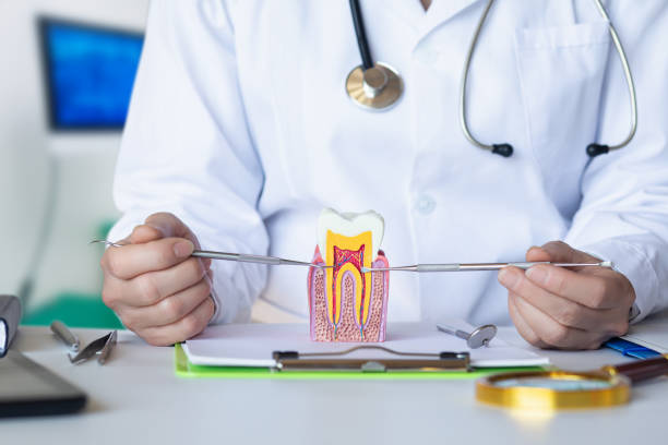 Best Emergency Dentist for Knocked-Out Tooth in Port Hadlock Irondale, WA